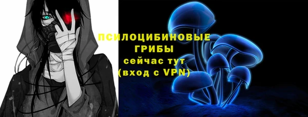 метадон Арсеньев