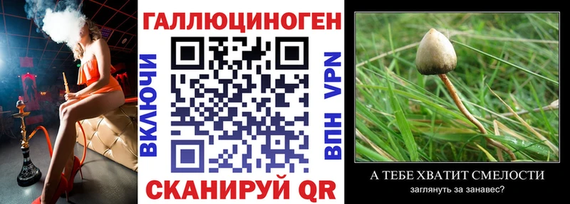 Купить Мещовск Псилоцибиновые грибы GOLDEN TEACHER